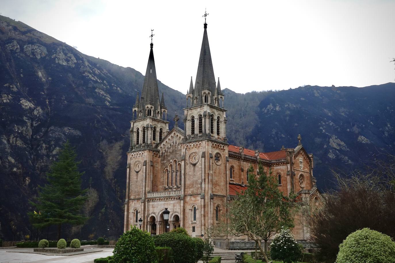 El fuego originado en el monte Priena afectó a 120 hectáreas y obligó a los bomberos a trabajar en su extinción toda la noche.  Pinche aquí para leer la crónica de todo lo occurido .