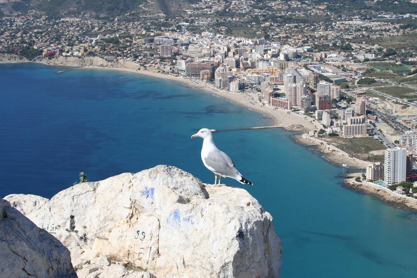 Calpe (España)