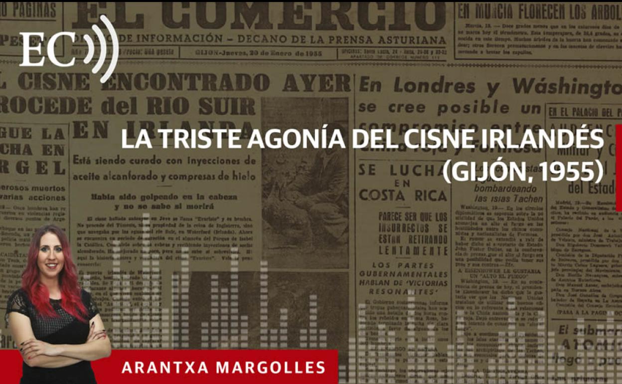 Podcast: La triste agonía del cisne irlandés (Gijón, 1955)
