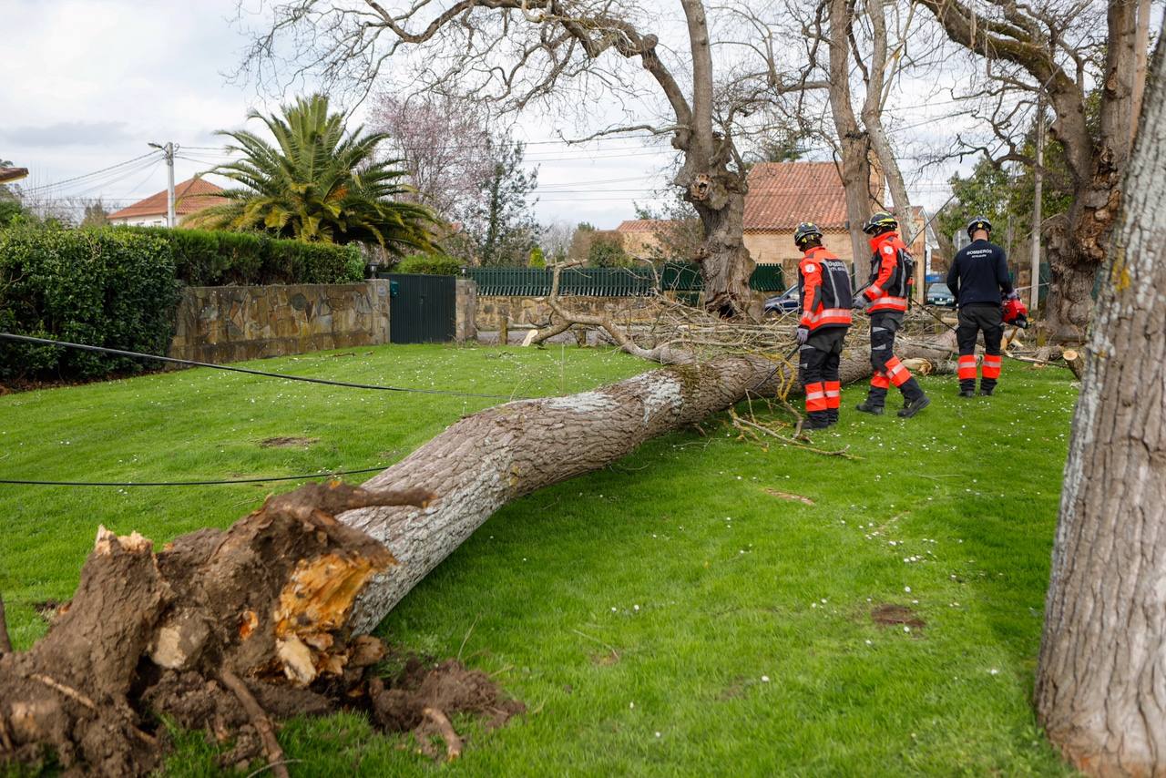 La región estará en alerta hasta el domingo, cuando las temperaturas bajarán bruscamente | La Policía Local de Gijón cierra los principales accesos al parque Isabel La Católica | El viento vuela el techo del polideportivo municipal de El Berrón