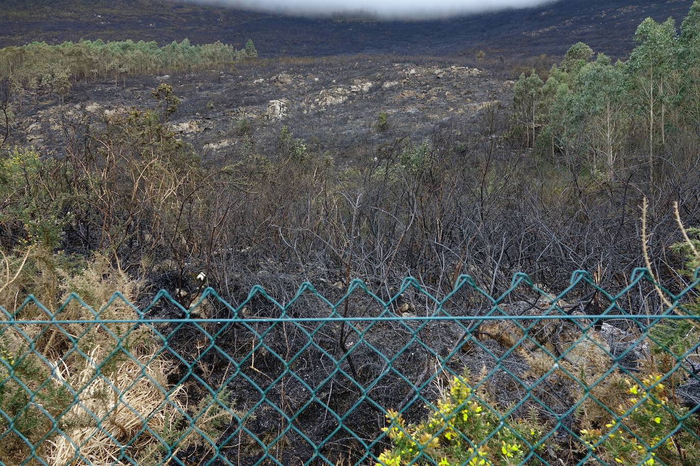 El incendio originado el viernes entre Llanes y Ribadesella, aún con focos activos, provocó ayer una noche de terror en el polígono de Guadamía. Las llamas llegaron hasta el mismo límite del área industrial, donde los propietarios de las naves colindantes a la ladera vivieron momentos de «mucho miedo».