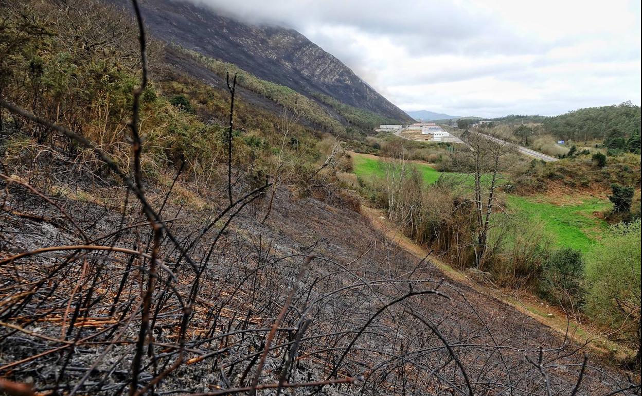 Terreno arrasado por el fuego en las inmediaciones del polígono de Guadamía.