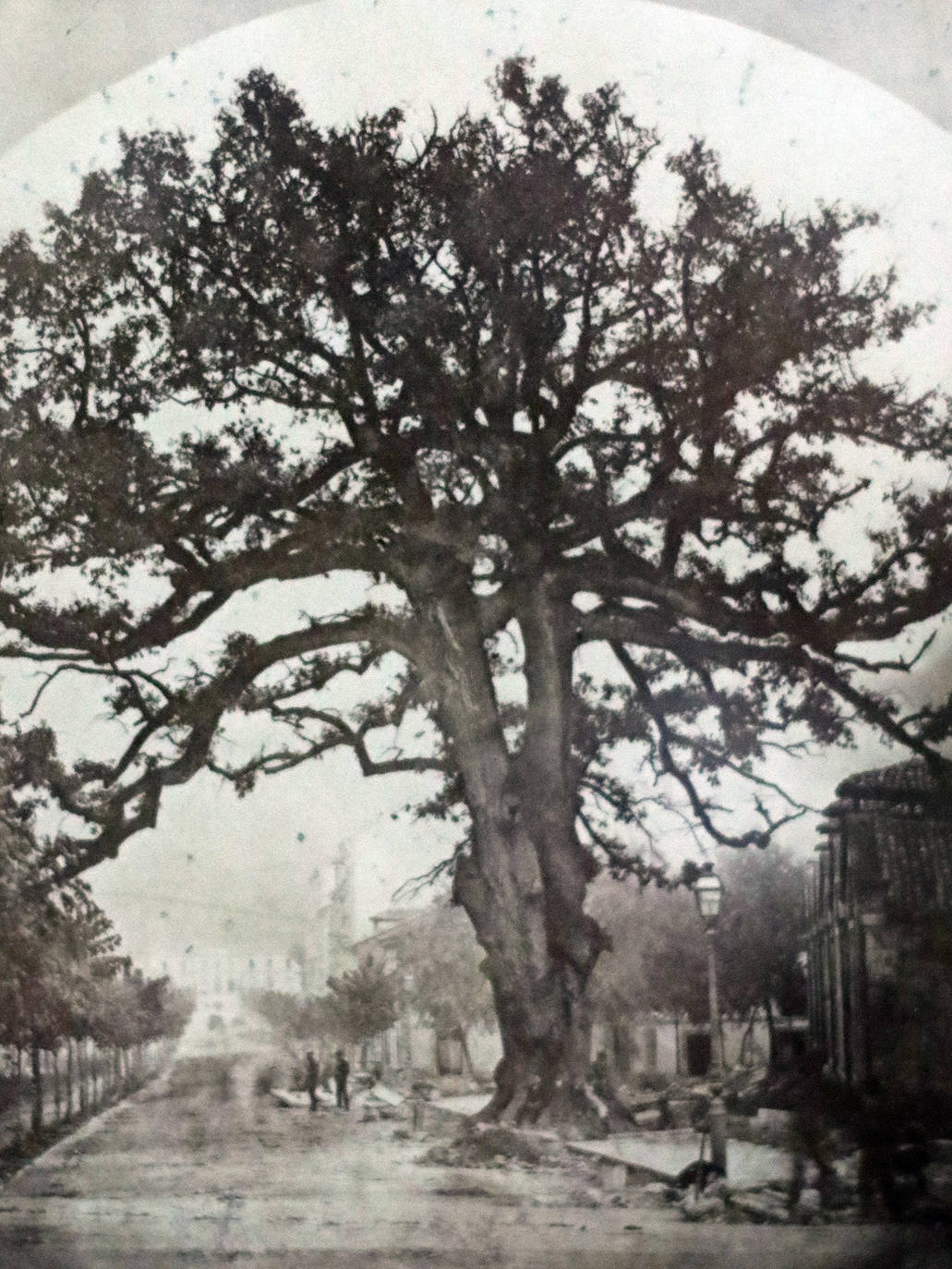 El Museo del Pueblo de Asturias ha recibido numerosas donaciones de fotografías tras la «exitosa» exposición en la sala SabadellHerrero.
