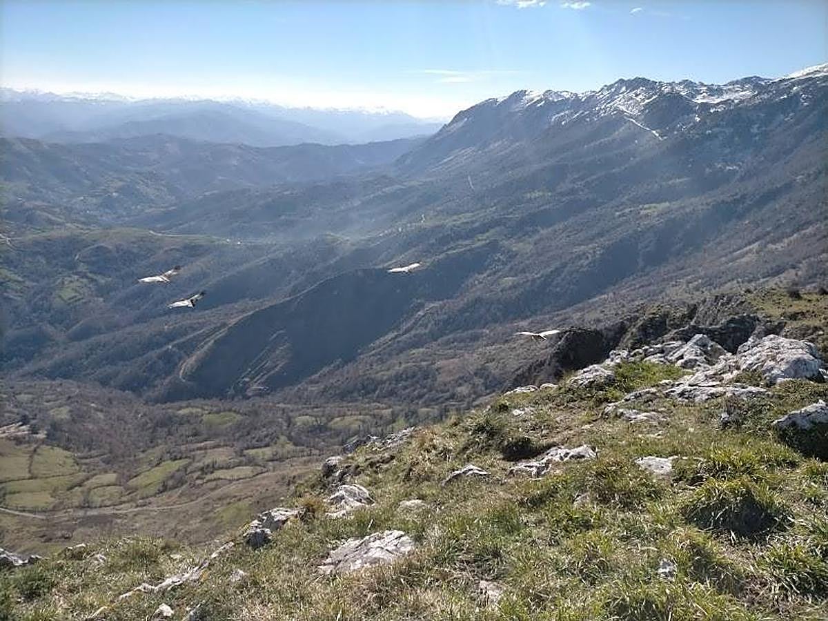 Fotos: Ruta hasta el pico La Mostayal