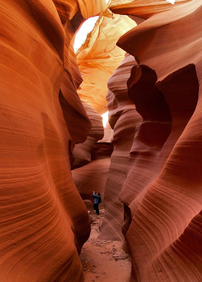 Cañón del Antílope: El Cañón del Antílope se encuentra en la ciudad de Page en el norte de Arizona. Sus características formas son el resultado del paso del agua por estas paredes arenosas de hasta 40 metros de altura y durante miles de años. Las visitas a este cañón deben ser con guía debido al peligro de la zona por las inundaciones instantáneas.