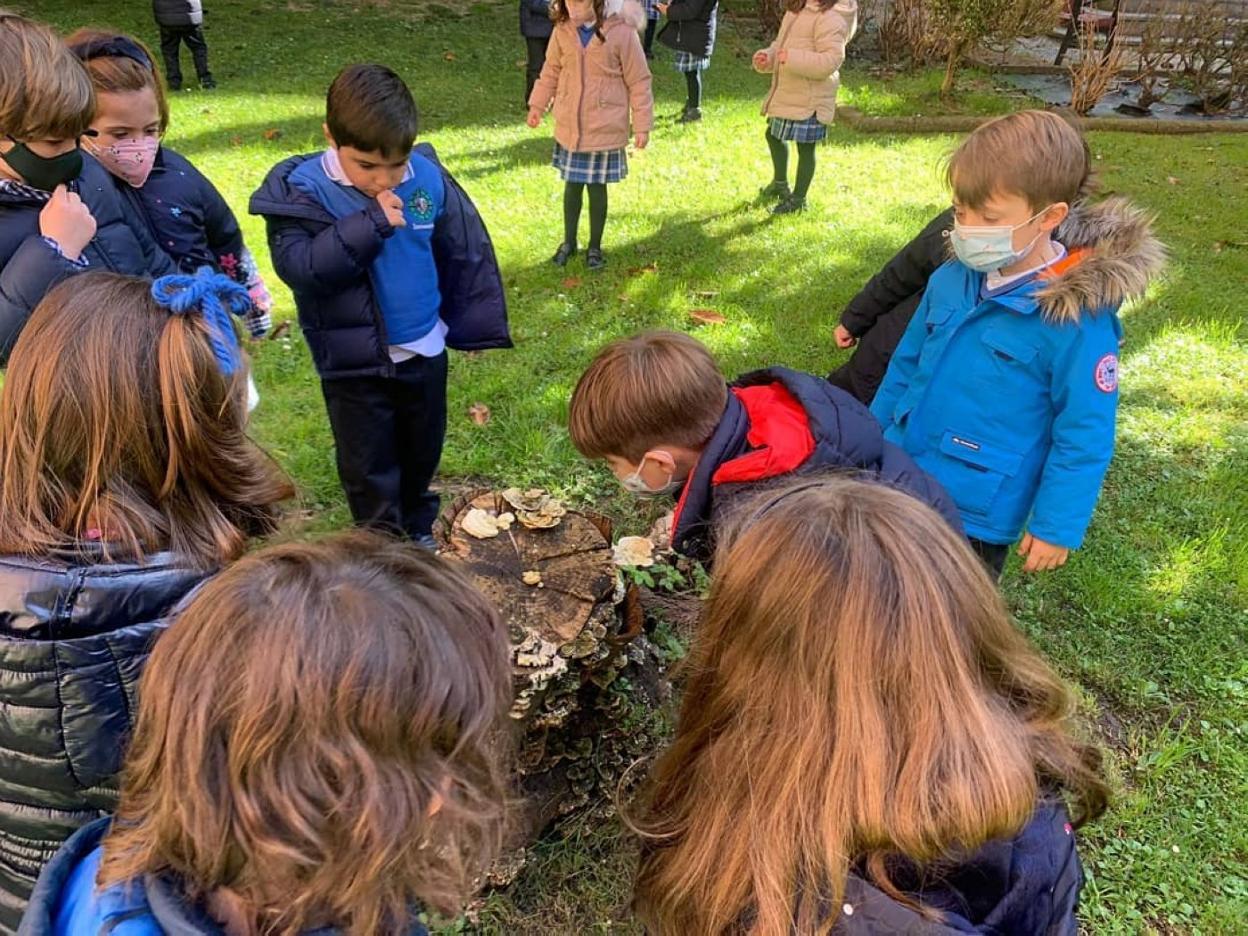 Acercamiento a la naturaleza para los alumnos de Infantil | El Comercio ...