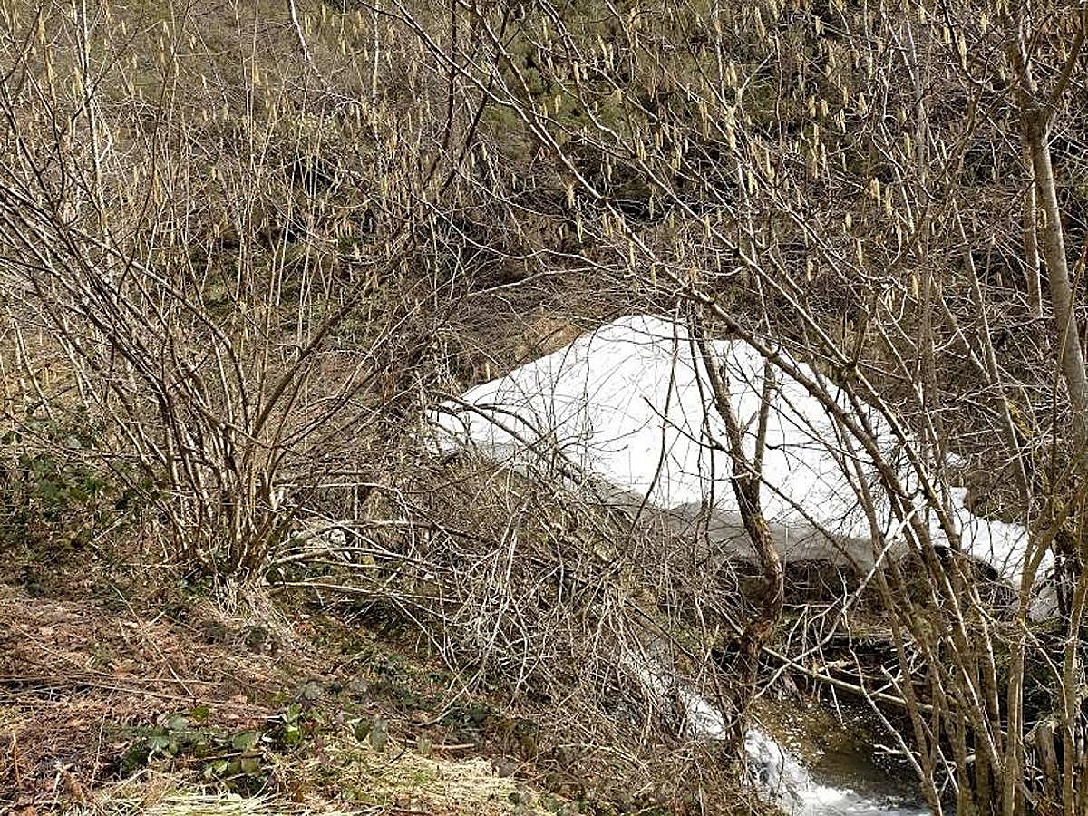 Fotos: Ruta del Valle del Río Medio