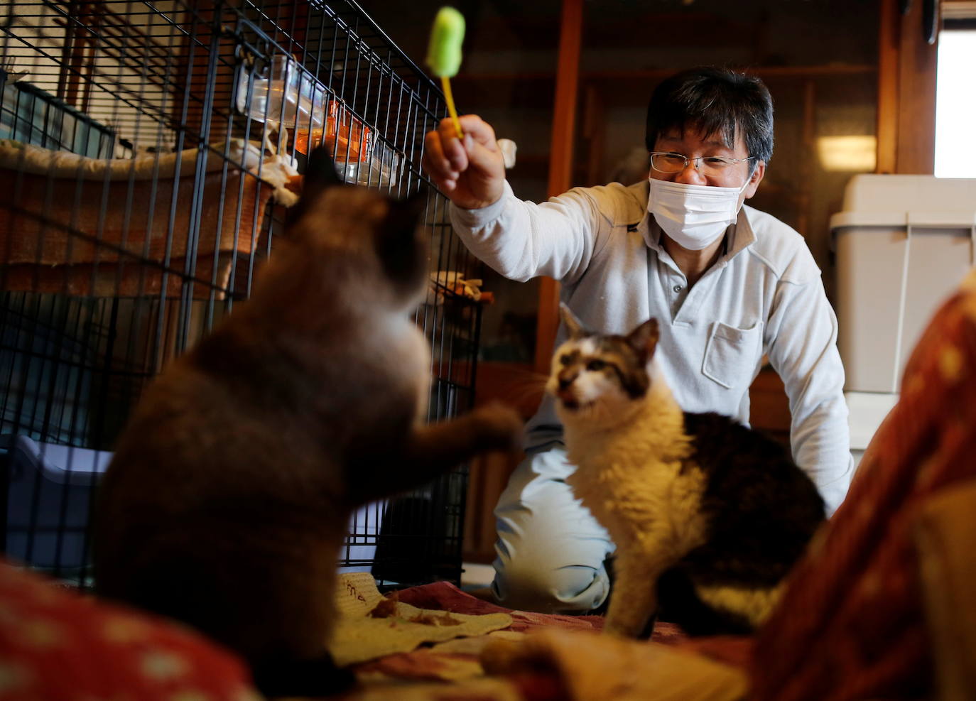 Sakae Kato se quedó atrás después de que todo el mundo huyera ante el desastre nuclear en Fukushima para ayudar a los animales abandonados ante la estampida de la población. En la soledad de una localidad arrasada y desértica, se afana en rescatar gatos «Quiero asegurarme de estar aquí para ocuparme del último. Después de eso quiero morir, ya sea un día o una hora después«, explica. En su aislado hogar viven 41 mininos. En su jardín reposa el cadaver de otros 23 