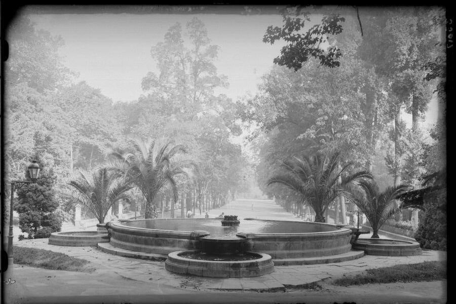 El plan director del Campo de San Francisco busca recuperar el pulmón verde para los ciudadanos e impulsar mejoras que le permitan recuperar el esplendor de épocas pasadas. Generaciones y generaciones se han criado corriendo entre sus árboles y caminos, convirtiéndole en fiel testigo de la historia de Oviedo