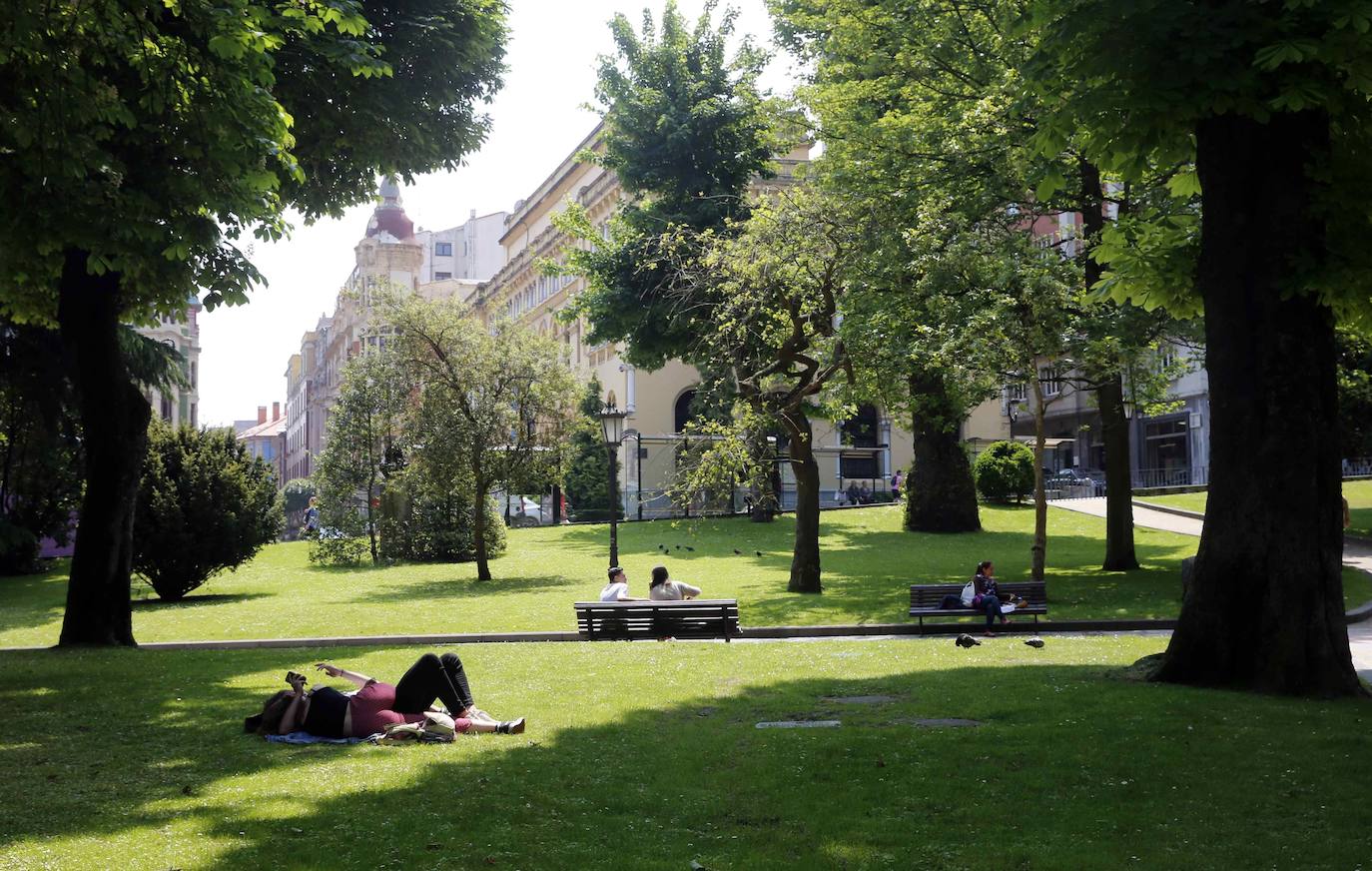 El plan director del Campo de San Francisco busca recuperar el pulmón verde para los ciudadanos e impulsar mejoras que le permitan recuperar el esplendor de épocas pasadas. Generaciones y generaciones se han criado corriendo entre sus árboles y caminos, convirtiéndole en fiel testigo de la historia de Oviedo