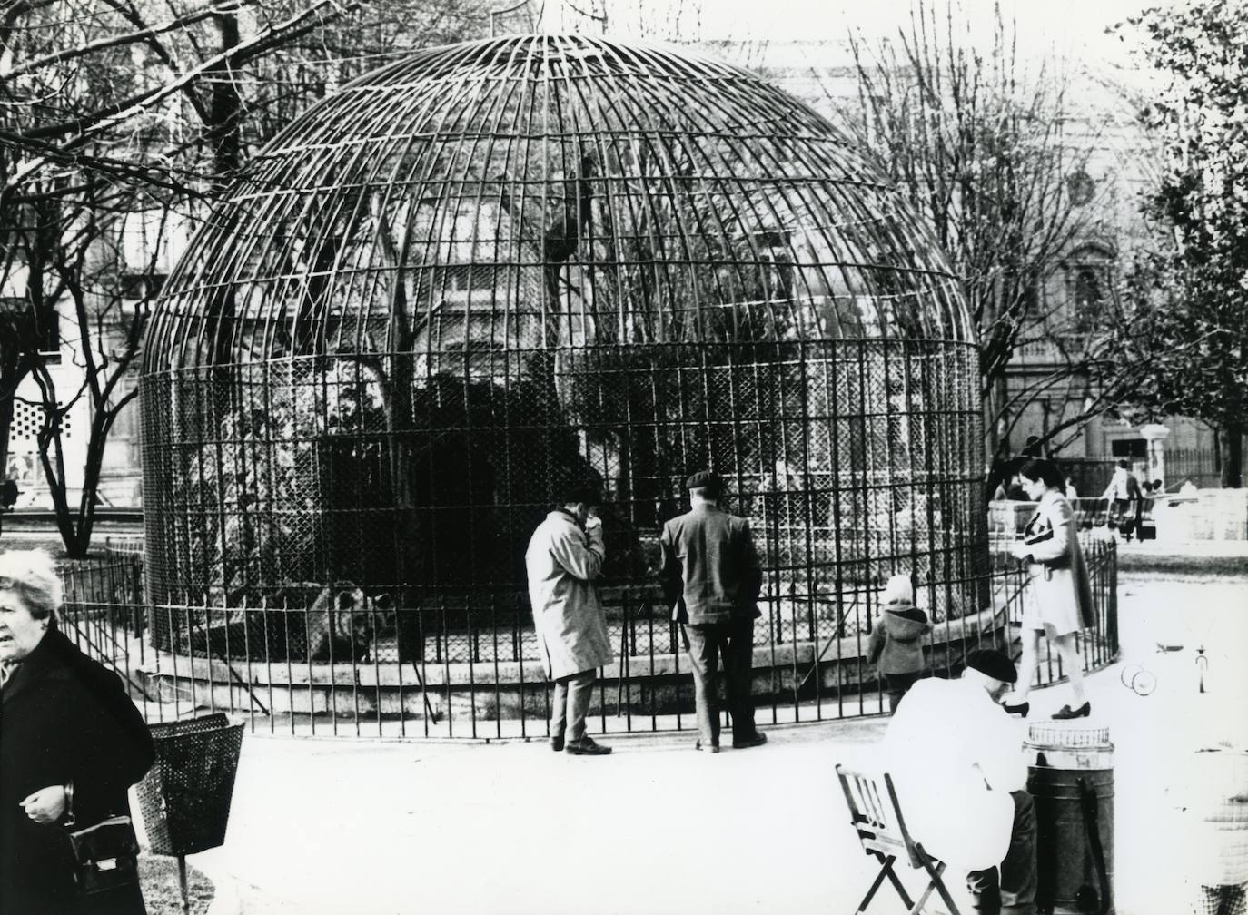 El plan director del Campo de San Francisco busca recuperar el pulmón verde para los ciudadanos e impulsar mejoras que le permitan recuperar el esplendor de épocas pasadas. Generaciones y generaciones se han criado corriendo entre sus árboles y caminos, convirtiéndole en fiel testigo de la historia de Oviedo