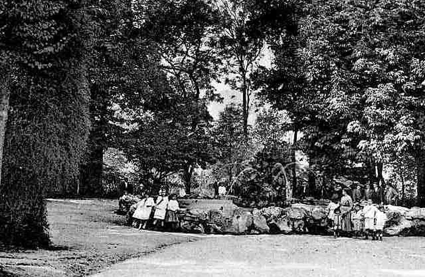 El plan director del Campo de San Francisco busca recuperar el pulmón verde para los ciudadanos e impulsar mejoras que le permitan recuperar el esplendor de épocas pasadas. Generaciones y generaciones se han criado corriendo entre sus árboles y caminos, convirtiéndole en fiel testigo de la historia de Oviedo