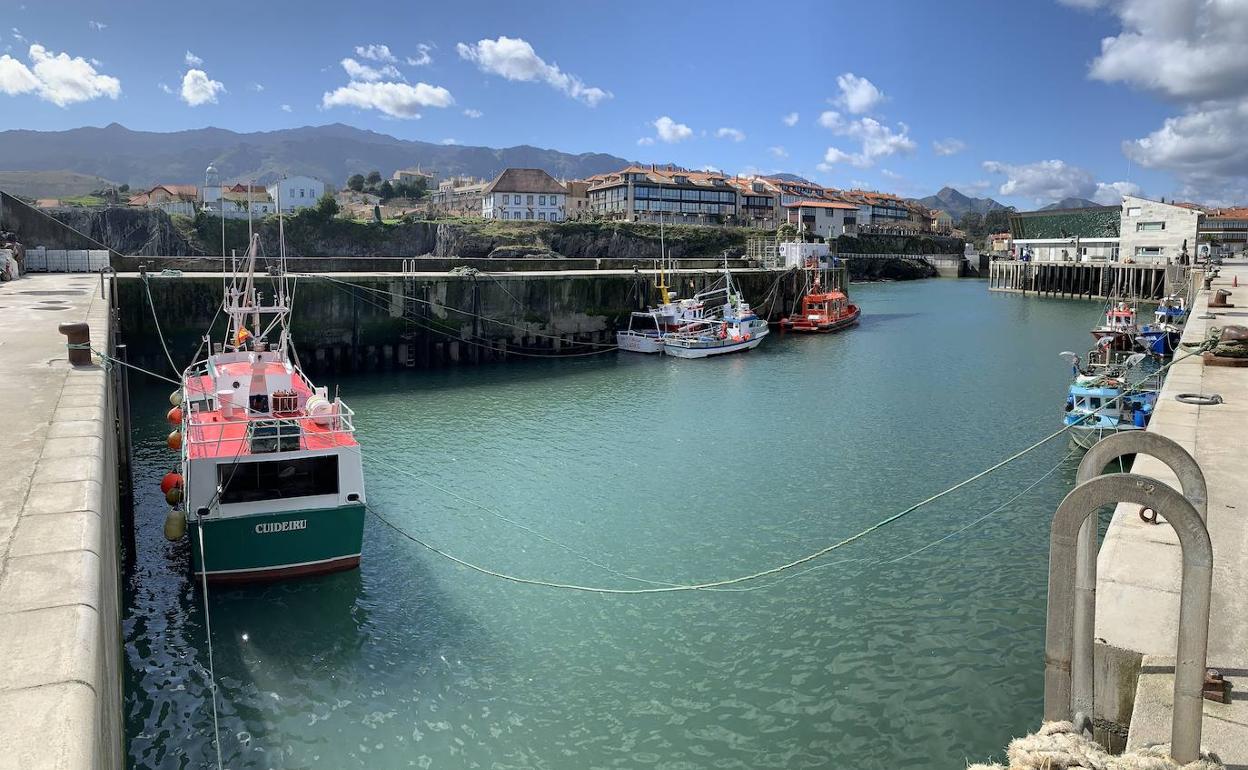 La mayoría de los barcos de Llanes permanecieron este viernes amarrados y, al fondo, la compuerta cerrada.