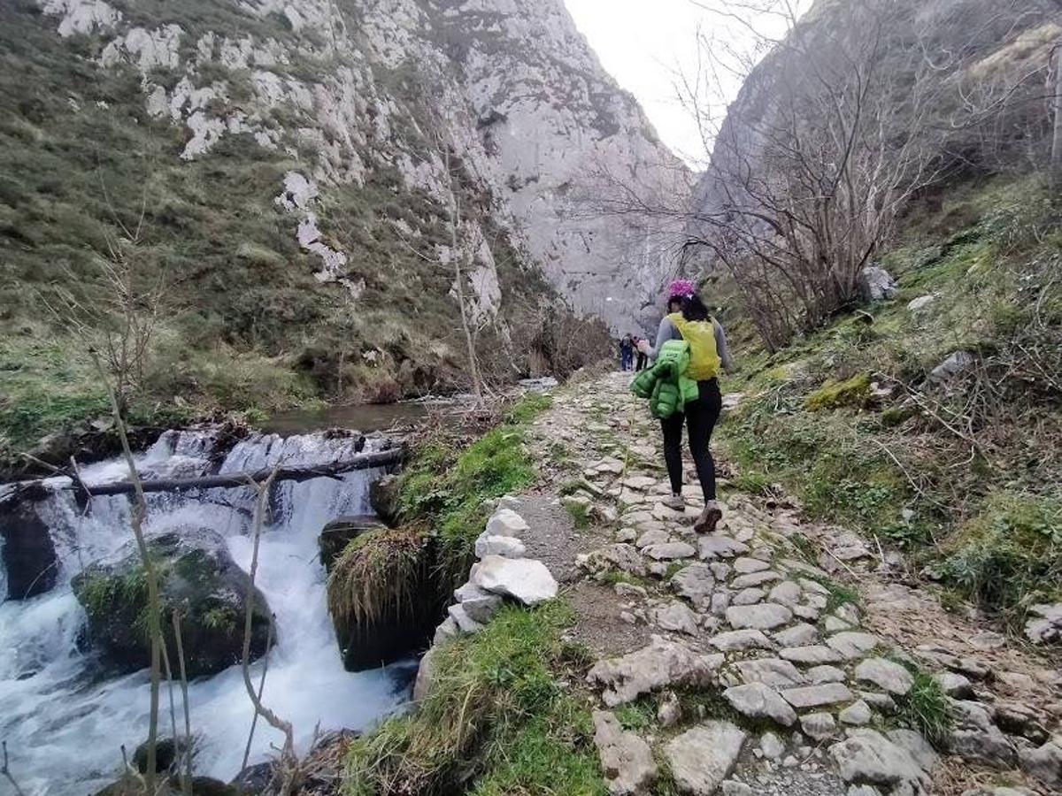 Fotos: Ruta a Peña Redonda desde El Pino