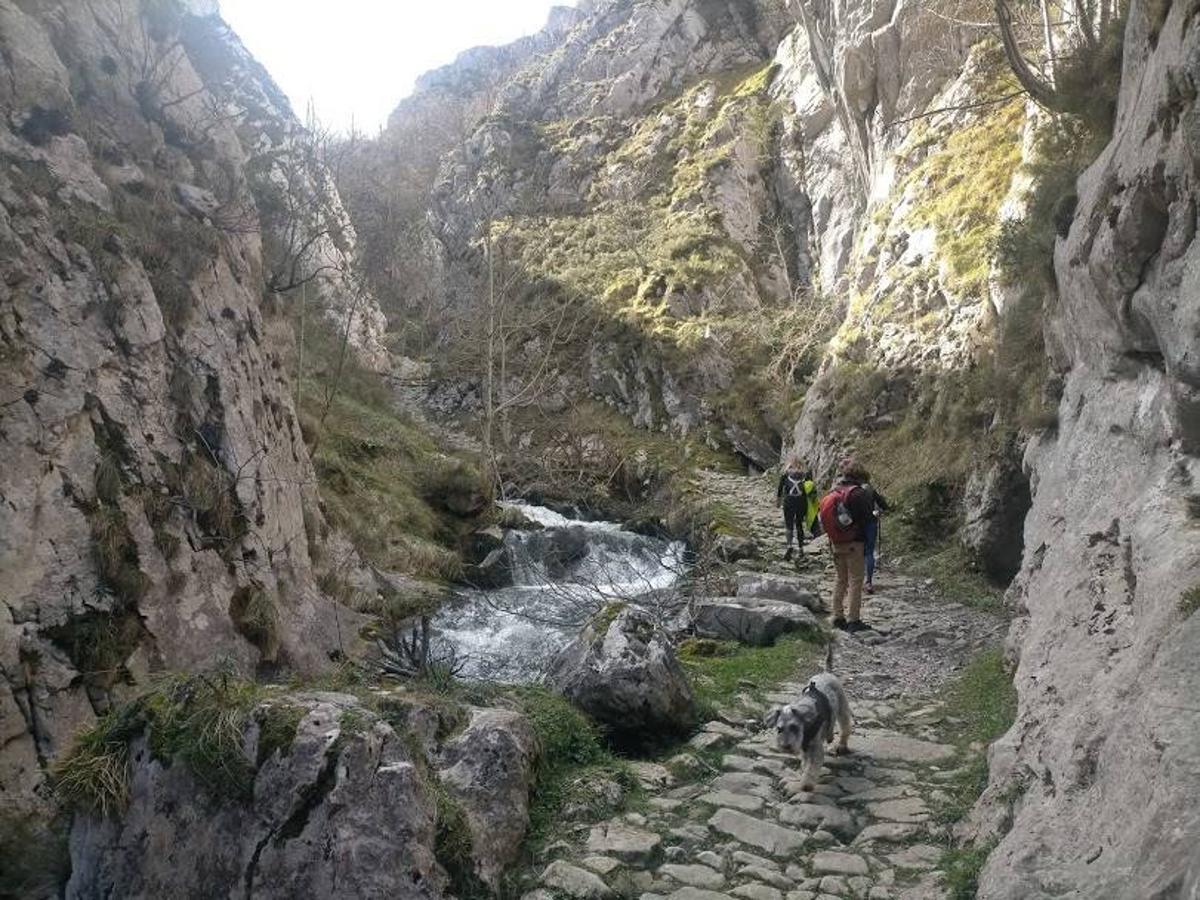 Fotos: Ruta a Peña Redonda desde El Pino