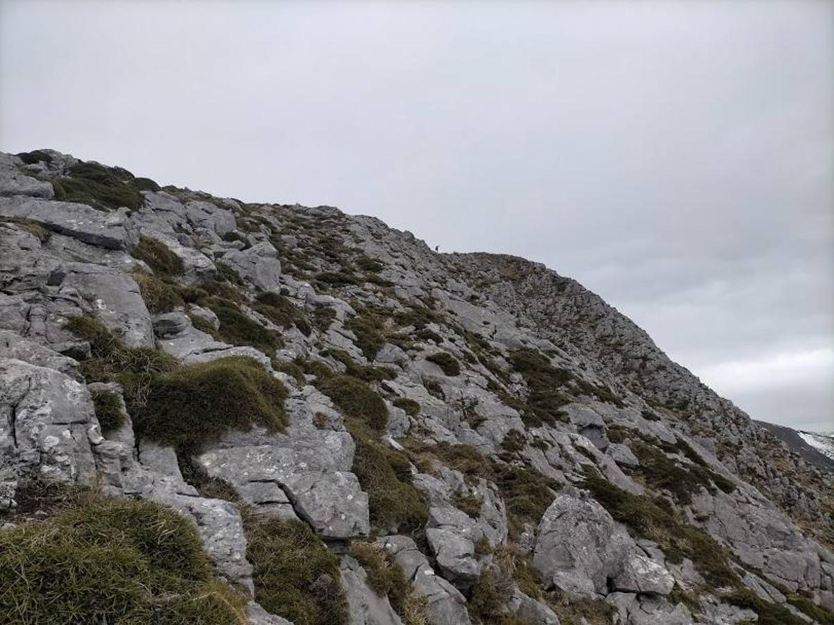 Fotos: Ruta a Peña Redonda desde El Pino