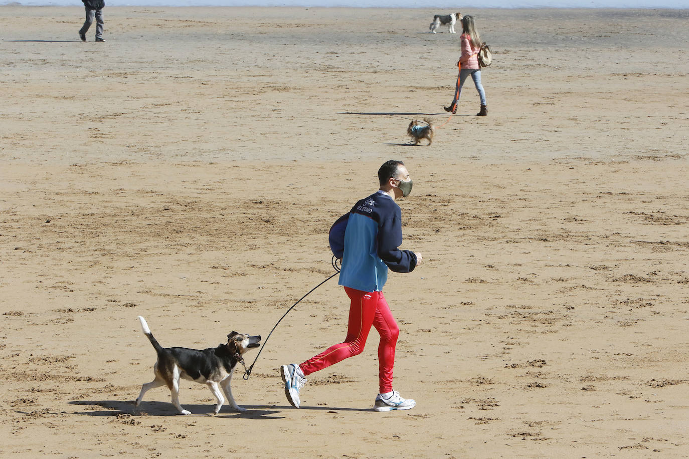 Como si se hubiesen citado, cientos de gijoneses han elegido hoy la playa de San Lorenzo para disfrutar del sol y el aire libre. Muchos de ellos han disfrutado del día con sus macostas, lo que dibujaba un entrañable mosaico en el arenal.