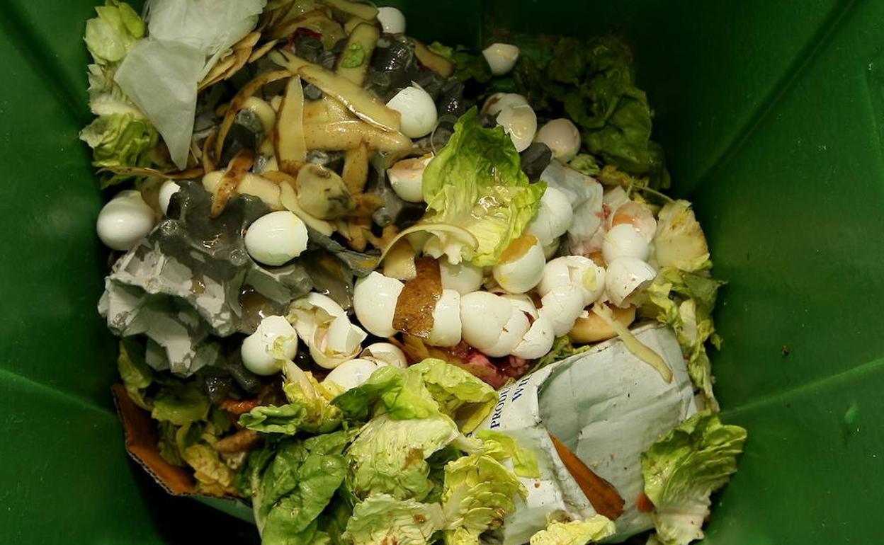 Los alimentos se acumulan en un contenedor de basura