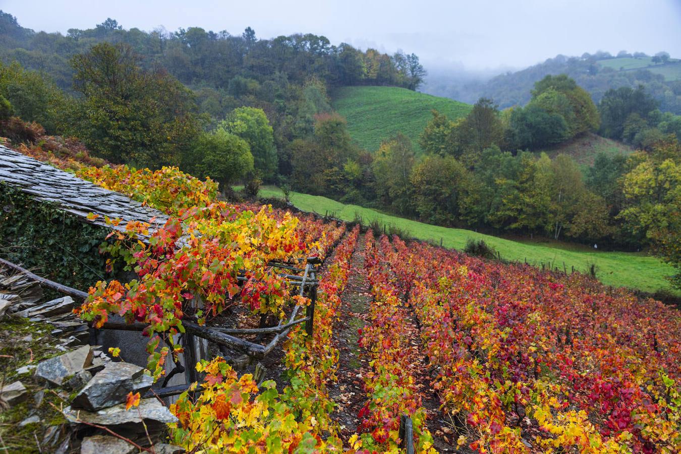 El Parque Natural de las Fuentes del Narcea