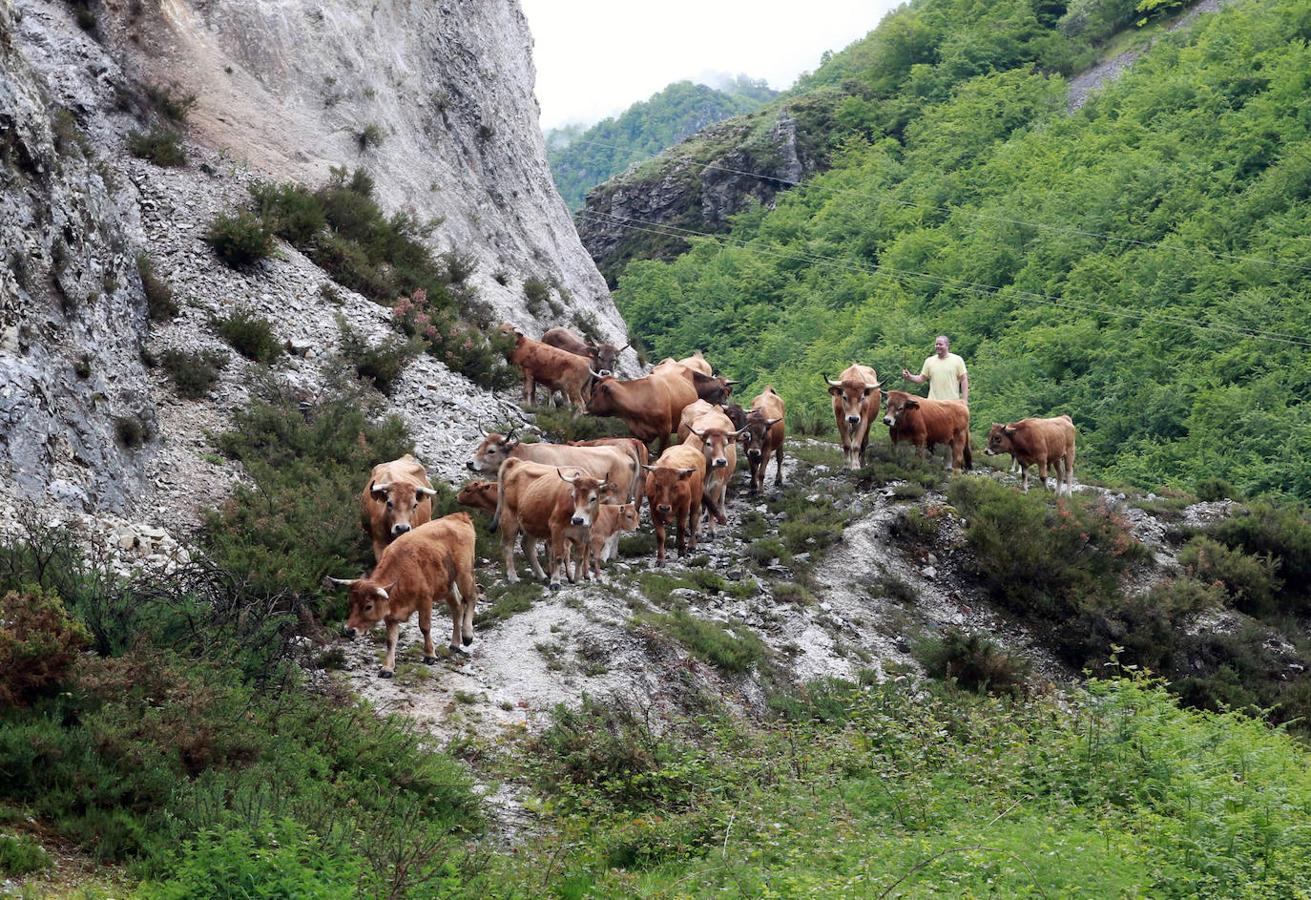 Parque Natural de Redes