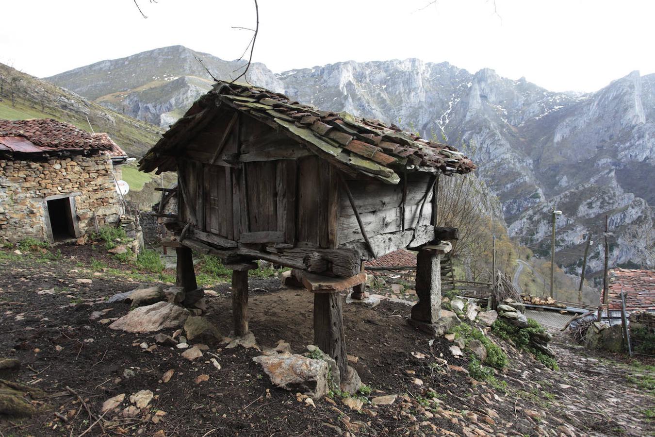 Parque Natural de Ponga