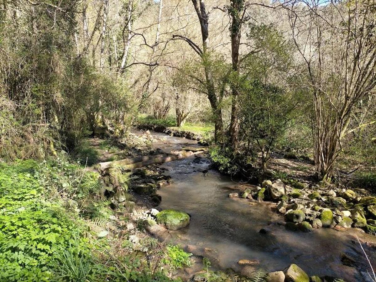 Fotos: Ruta a la Cascada del Nonaya