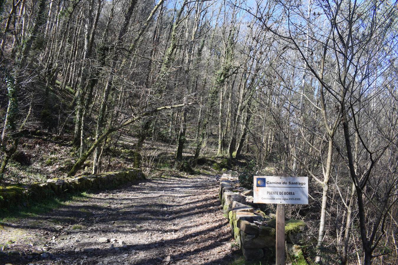 Fotos: Ruta a la Cascada del Nonaya