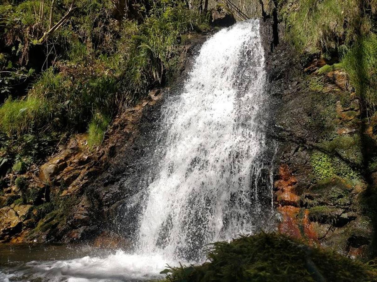 Fotos: Ruta a la Cascada del Nonaya