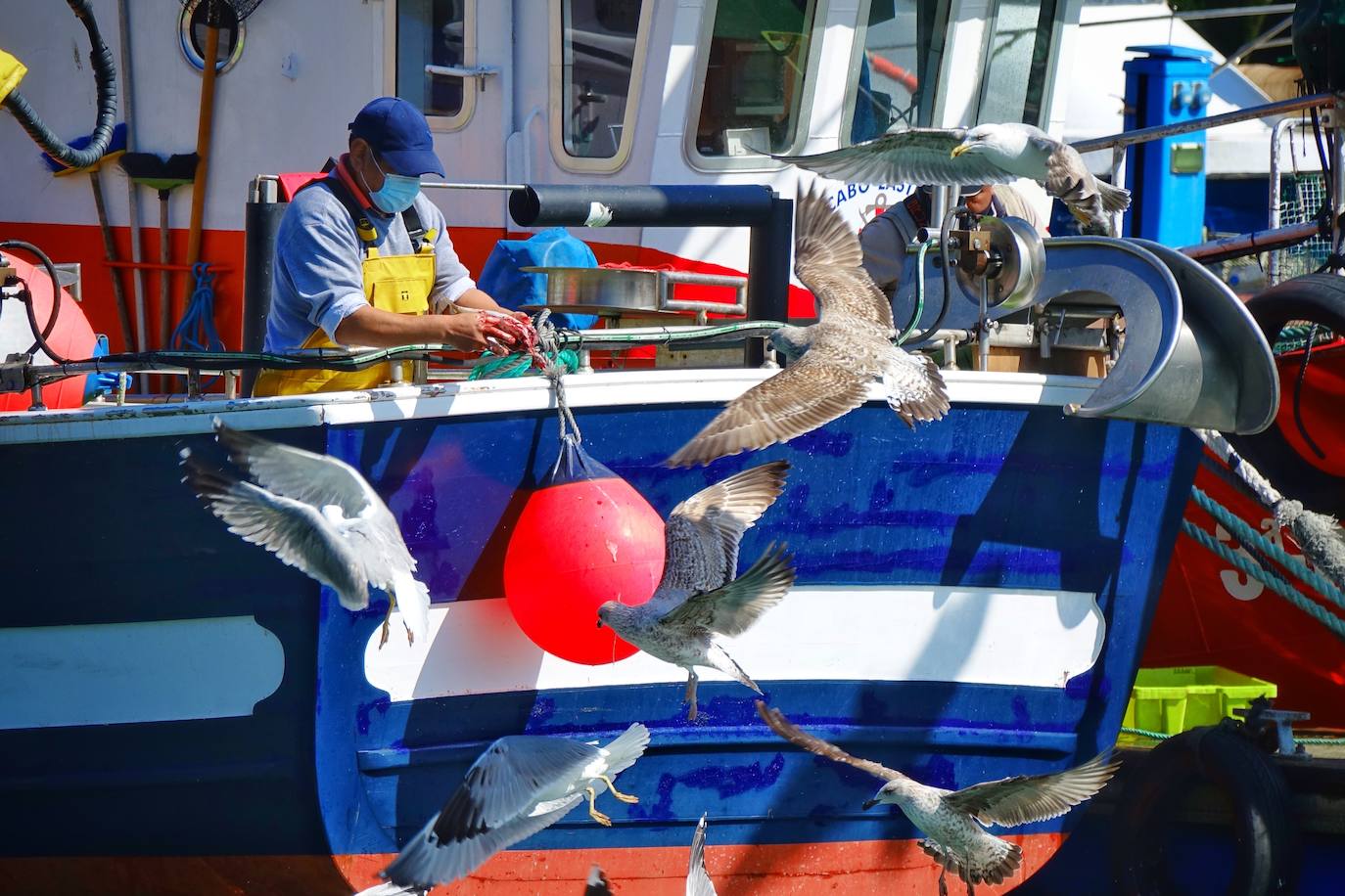 Fotos: La xarda desembarca en Lastres