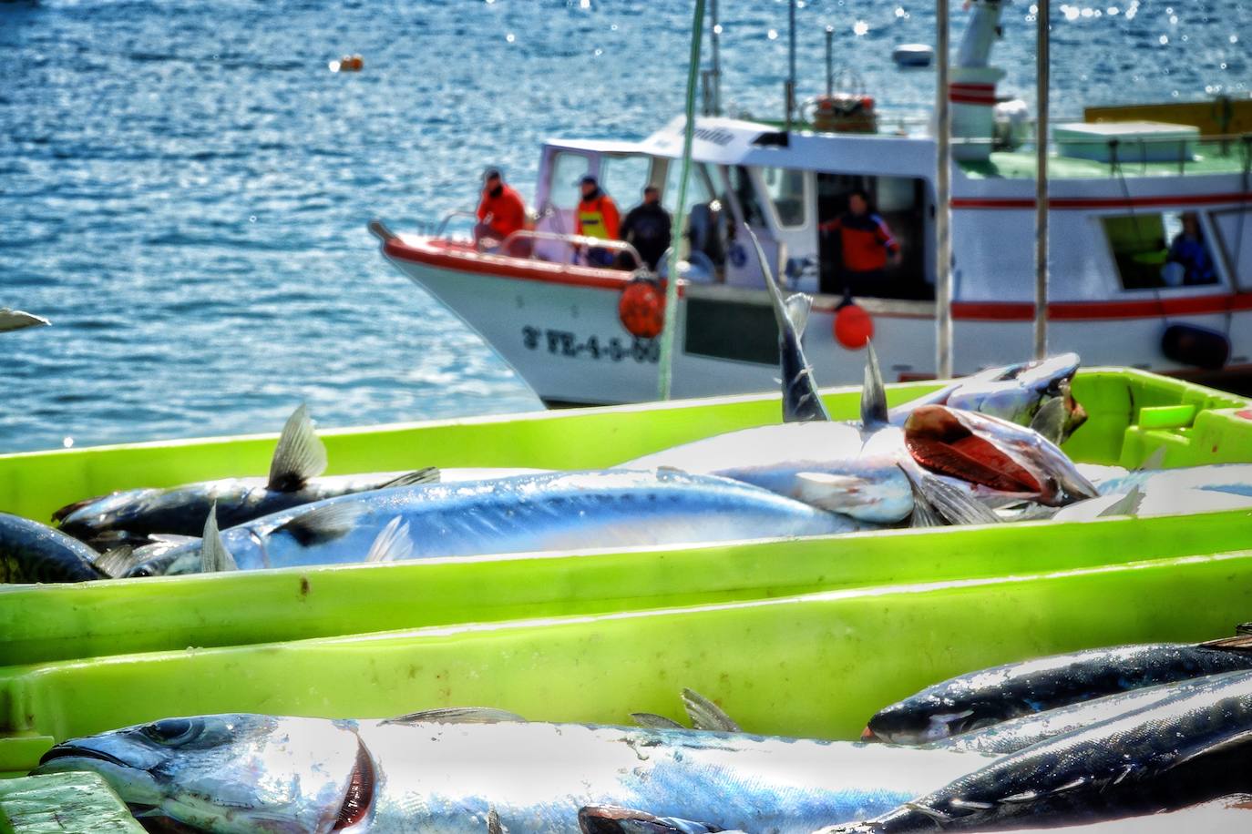 Fotos: La xarda desembarca en Lastres