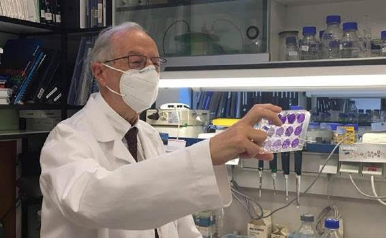 El virólogo Luis Enjuanes, en el Centro Nacional de Biotecnología del CSIC. 
