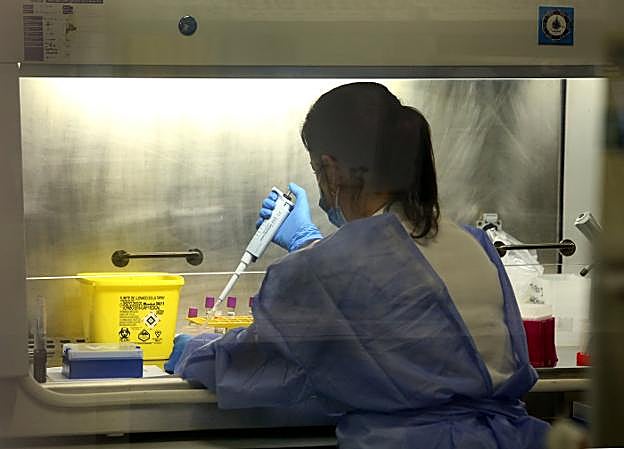 Salud extrema la vigilancia ante posibles casos de cepa brasileña