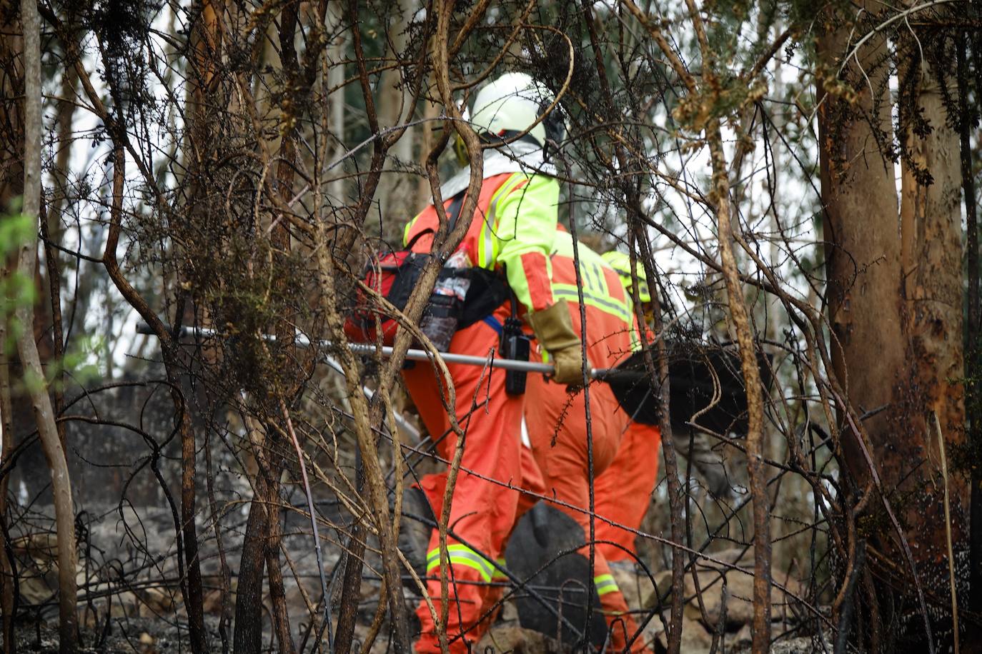 Un incendio en la Sierra del Sueve concentra un importante equipo material y humano para lograr su extinción
