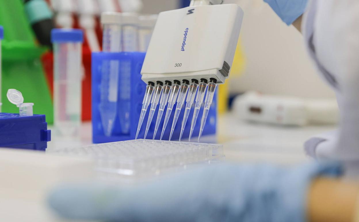 Hallan una nueva variante del coronavirus en Japón que parece reducir el efecto de las vacunas