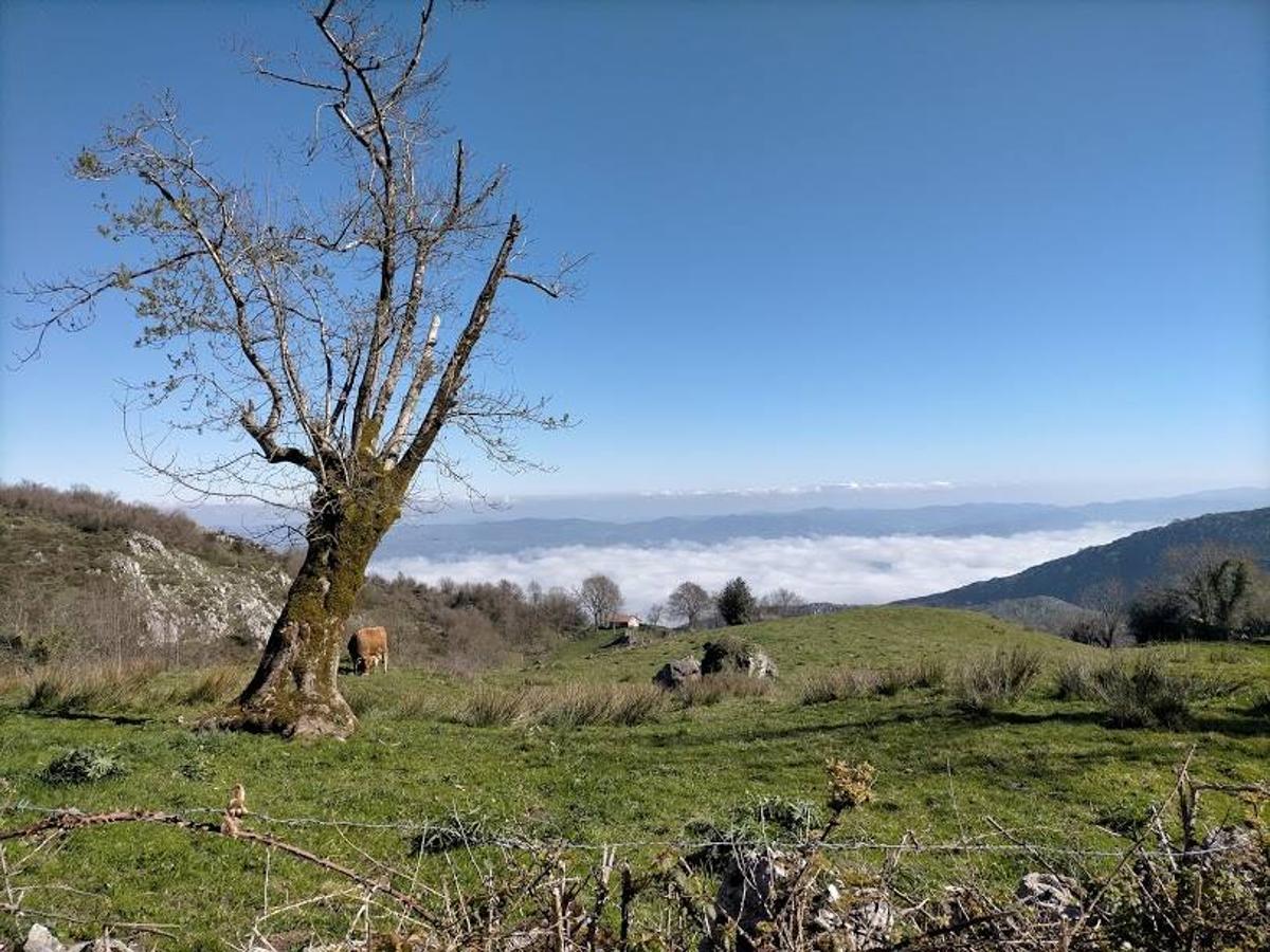 Fotos: Ruta al Pico Peñamayor desde Les Praeres