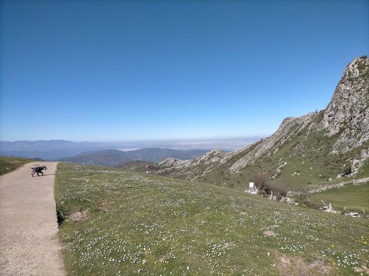 Fotos: Ruta al Pico Peñamayor desde Les Praeres