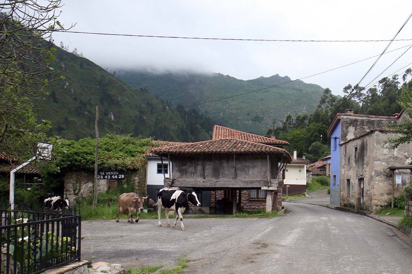 Cueves del Agua (Asturias)