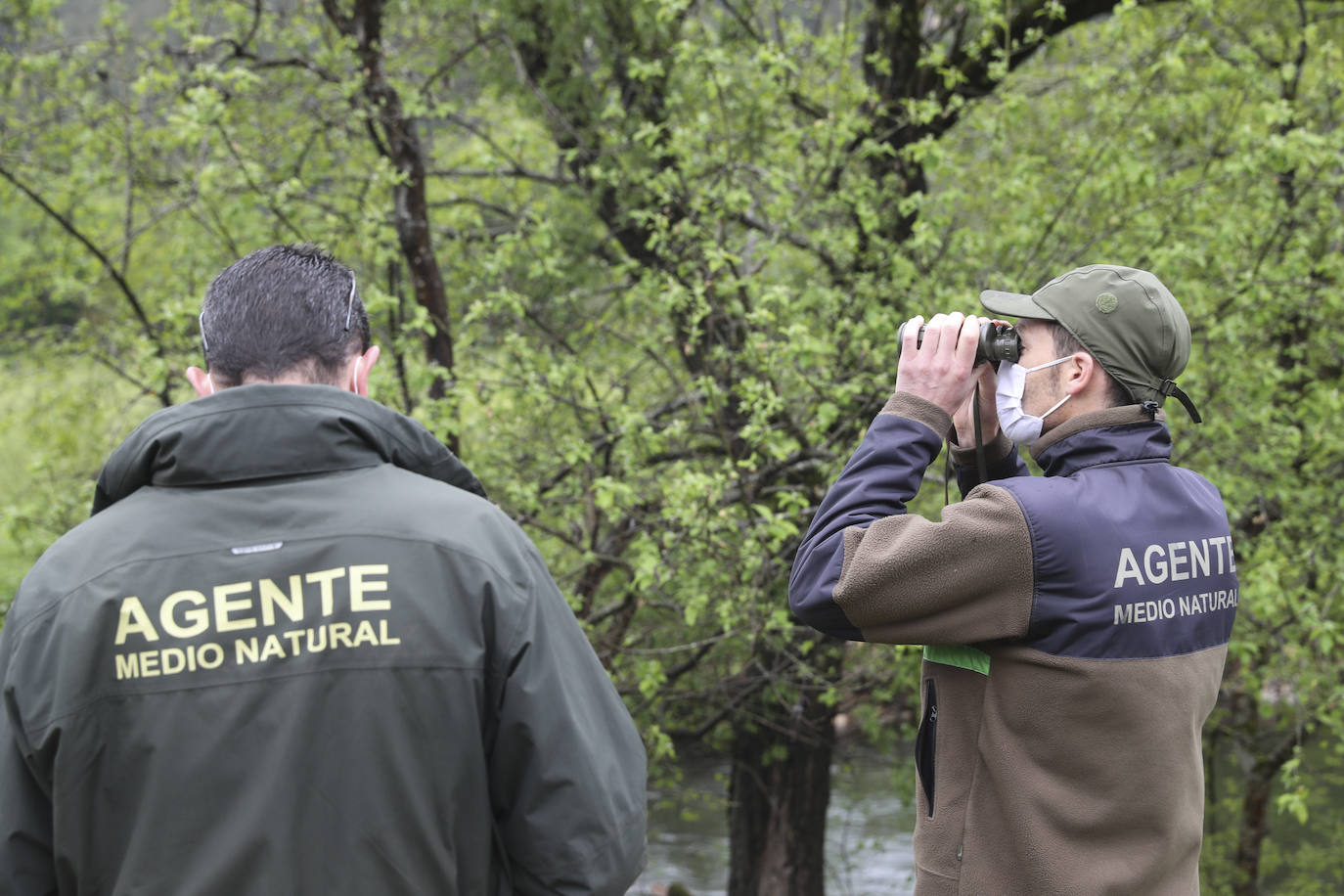 Decepción en el Eo con un salmón pescado en Louredal que no fue validado al comprobarse que era un zancado