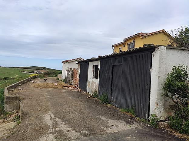 «No se puede permitir que los animales estén en esas condiciones»