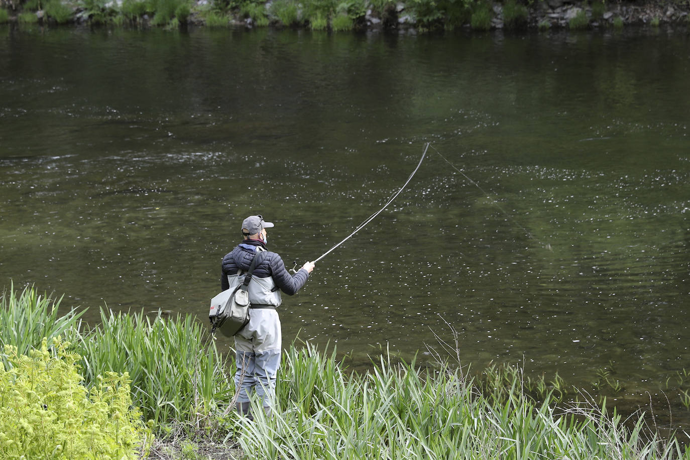 Gonzalo Suárez, de Quirós, ha capturado el campanu de Asturias 2021 en el río Eo, un ejemplar de 5,1 kilos, en la segunda jornada de la temporada de pesca con muerte. Rogelio Diego del Corro echó a tierra el primer salmón del Sella, una pieza de casi ocho kilos.