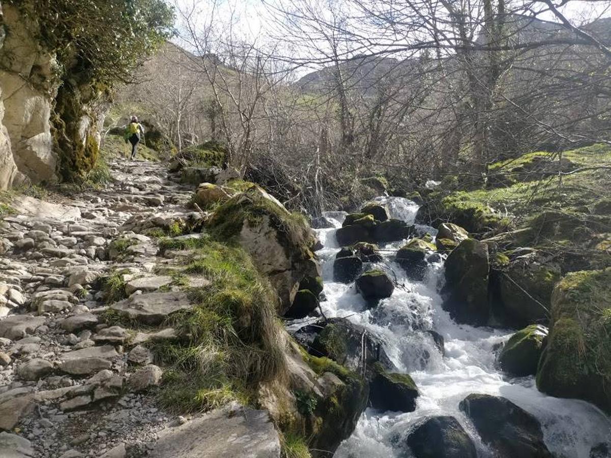 Ruta a Peña Redonda desde El Pino. Por esta ruta de unos 17 km de ida y vuelta ascenderás a una de las cimas más representativas del concejo de Aller y que encontrarás ubicada sobre las Foces del Río Pino 