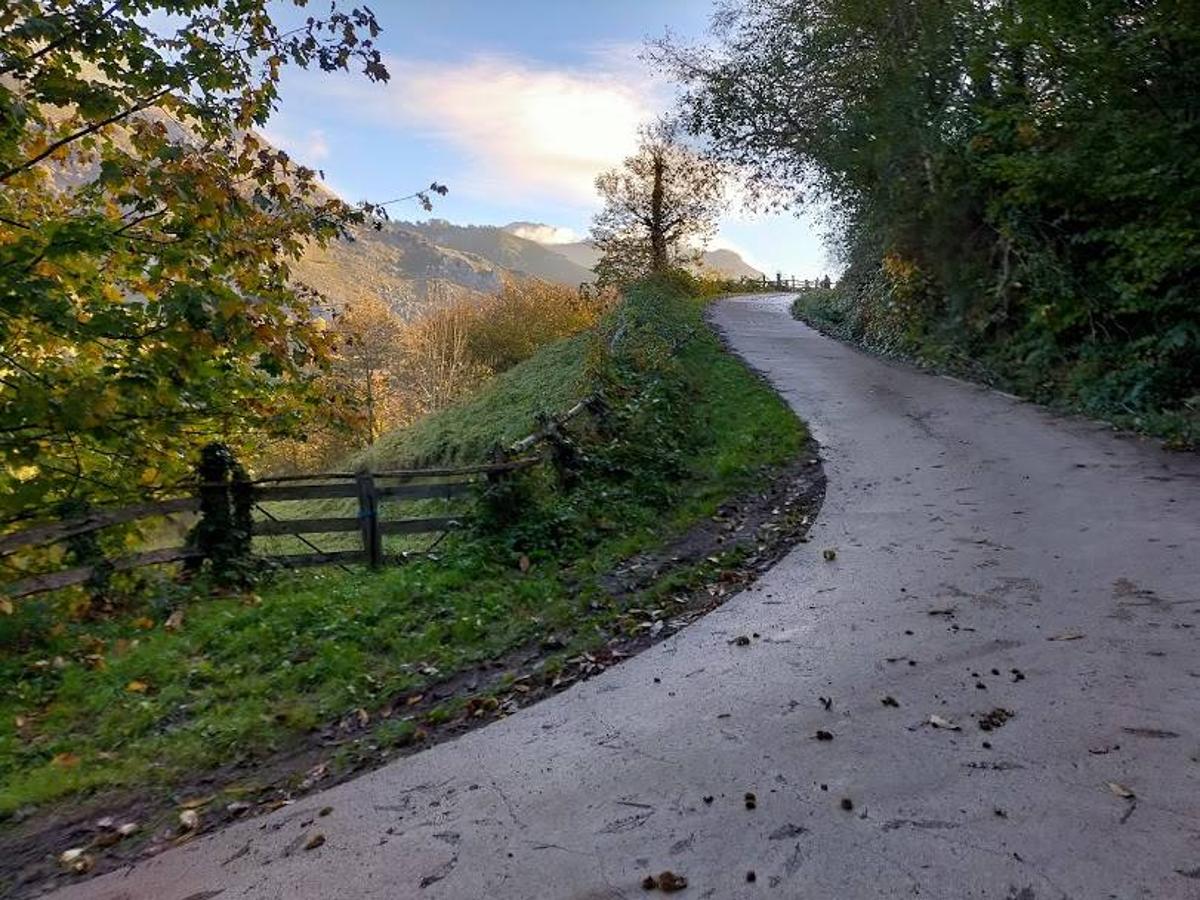 Ruta desde Bezanes hasta el refugio de Brañagallones. Esta senda de unos 21 km de ida y vuelta te acercará a otro de esos lugares privilegiados que podrás encontrar en pleno Parque Natural de Redes. 