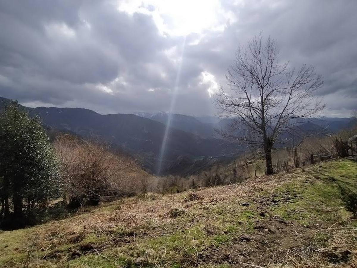 Ruta PR-AS 126 del Valle del Río Medio. Esta ruta circular de tan solo 8 km, ubicada en el Parque Natural de Redes, se puede comenzar en el pueblo de Orlé y te situará en pleno corazón de este espacio natural protegido. 