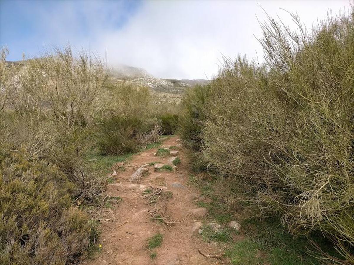 Fotos: Ruta con nieve al Pico Cornón