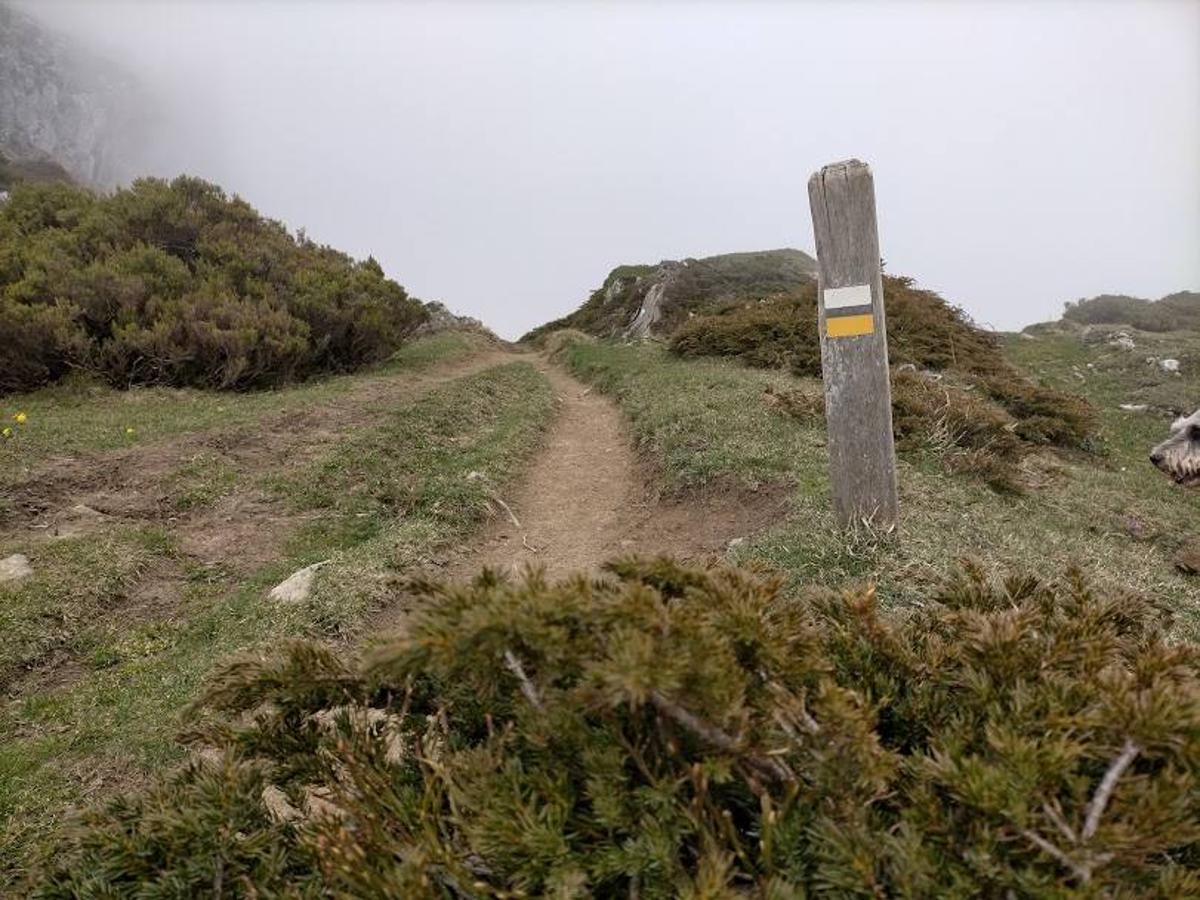 Fotos: Ruta con nieve al Pico Cornón