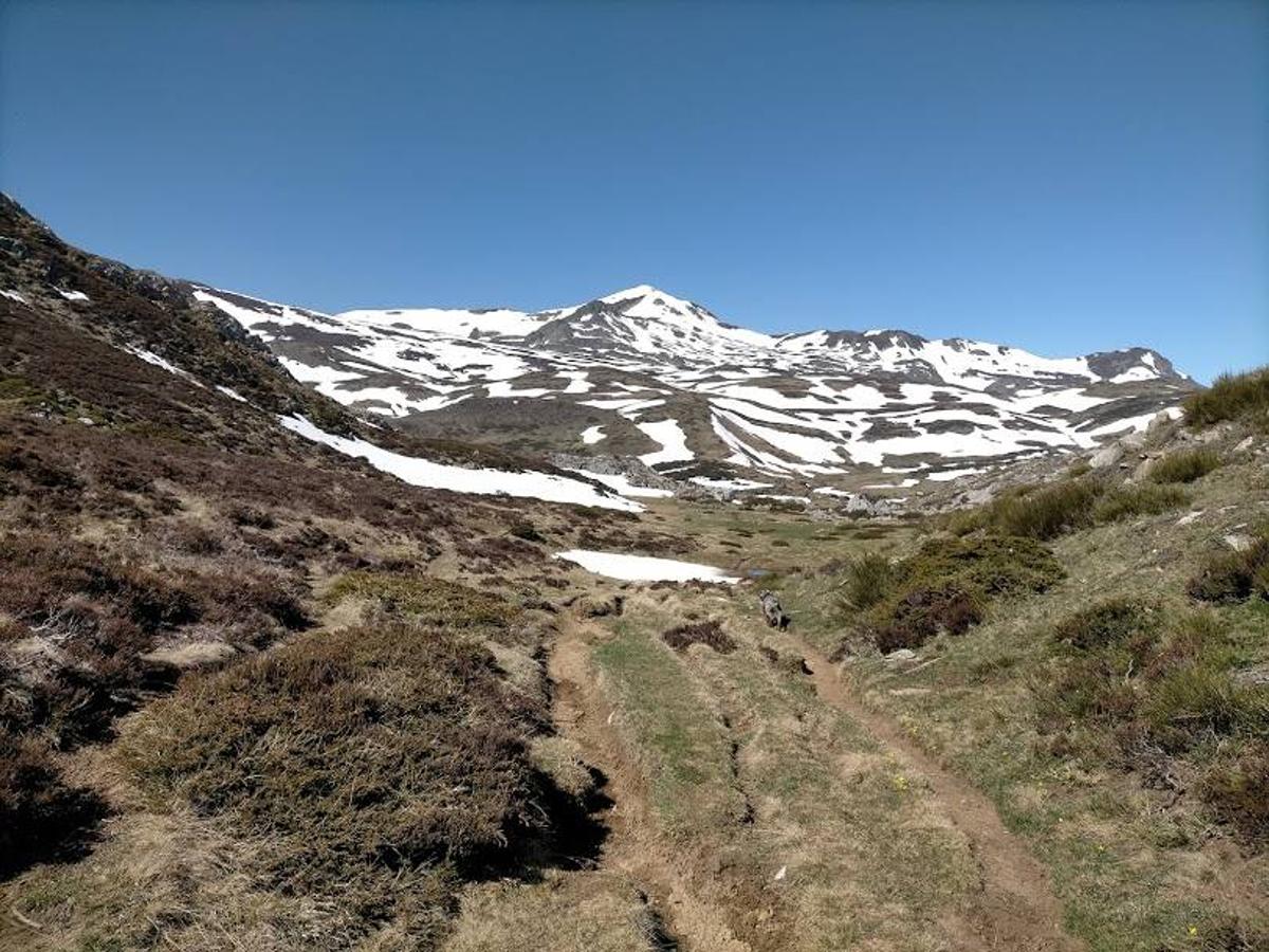 Fotos: Ruta con nieve al Pico Cornón