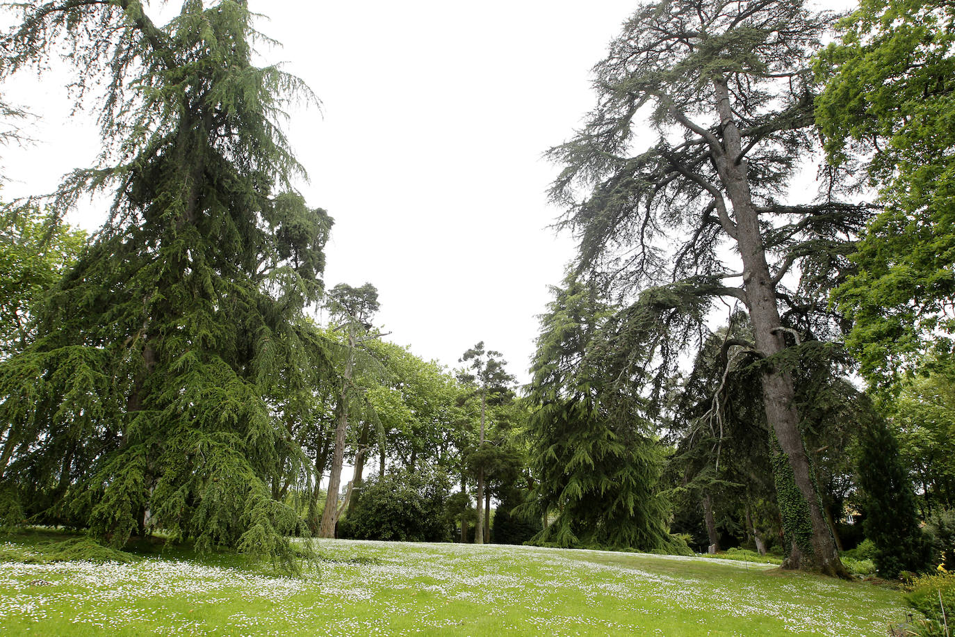 El Jardín Botánico de Gijón será el primero del país en integrarse en una red internacional que estudia cómo afecta el clima a las especies vegetales. Se marcan dos años para llevarlo a cabo y también para relanzarlo y que se convierta en un centro de referencia en conservación de especies y hábitats vegetales, tanto en España como en Europa.