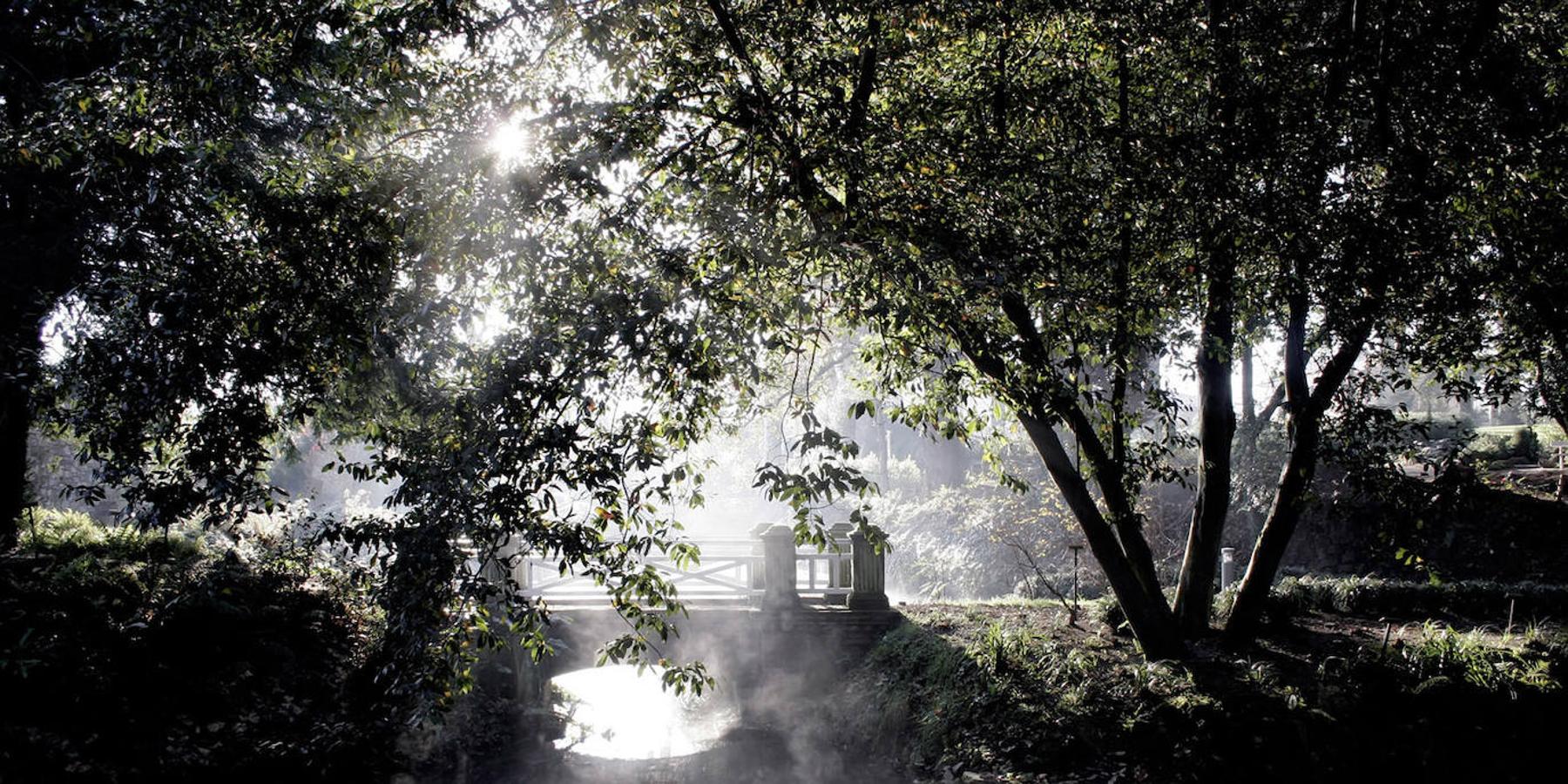 El Jardín Botánico de Gijón será el primero del país en integrarse en una red internacional que estudia cómo afecta el clima a las especies vegetales. Se marcan dos años para llevarlo a cabo y también para relanzarlo y que se convierta en un centro de referencia en conservación de especies y hábitats vegetales, tanto en España como en Europa.