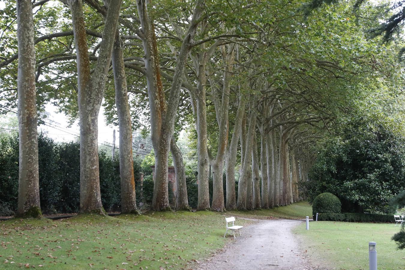 El Jardín Botánico de Gijón será el primero del país en integrarse en una red internacional que estudia cómo afecta el clima a las especies vegetales. Se marcan dos años para llevarlo a cabo y también para relanzarlo y que se convierta en un centro de referencia en conservación de especies y hábitats vegetales, tanto en España como en Europa.