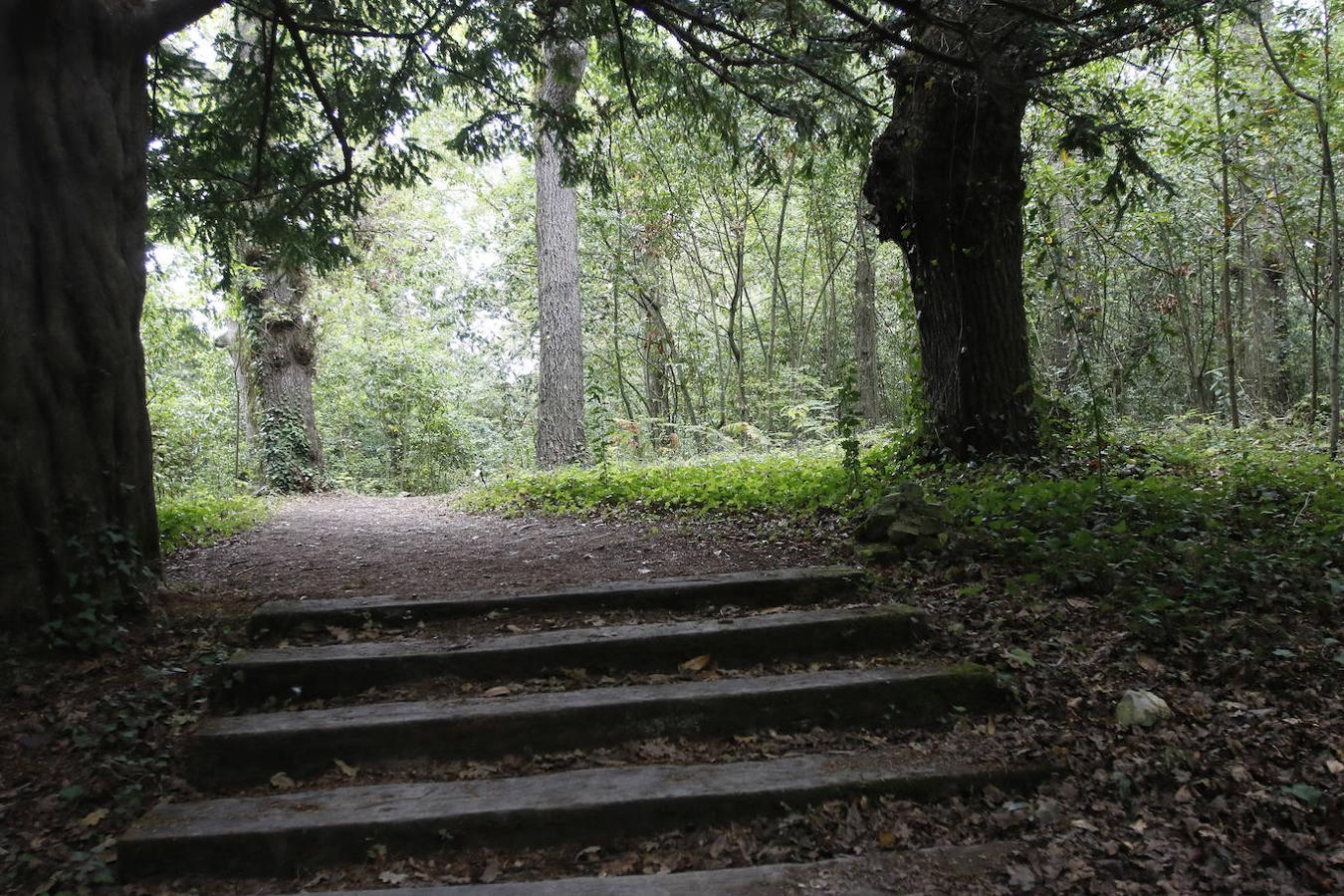 El Jardín Botánico de Gijón será el primero del país en integrarse en una red internacional que estudia cómo afecta el clima a las especies vegetales. Se marcan dos años para llevarlo a cabo y también para relanzarlo y que se convierta en un centro de referencia en conservación de especies y hábitats vegetales, tanto en España como en Europa.